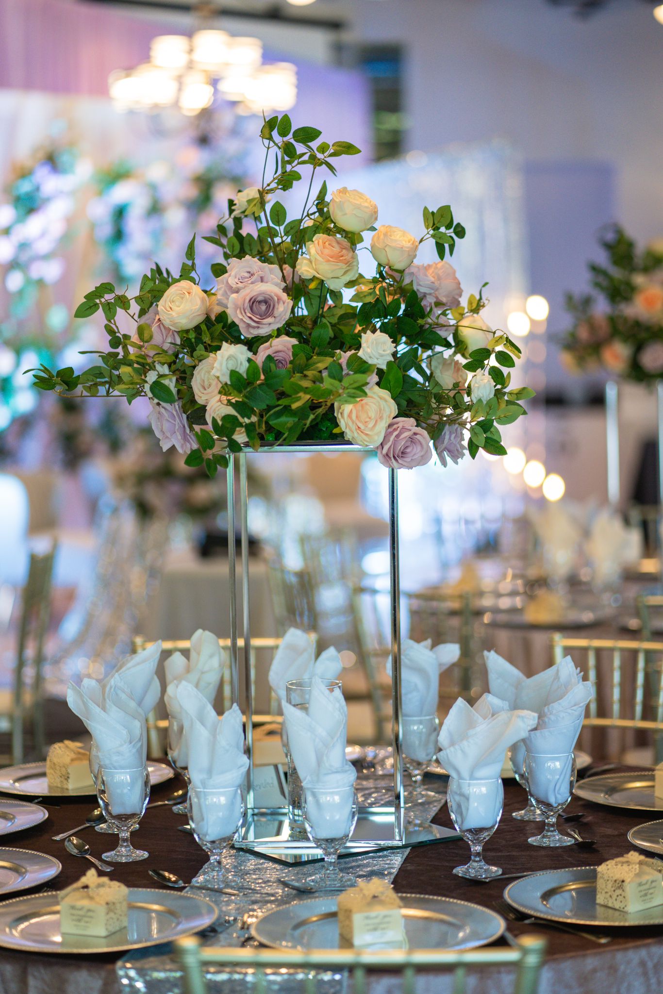 WhatsApp Image 2024-08-11 at 7.50.34 AM