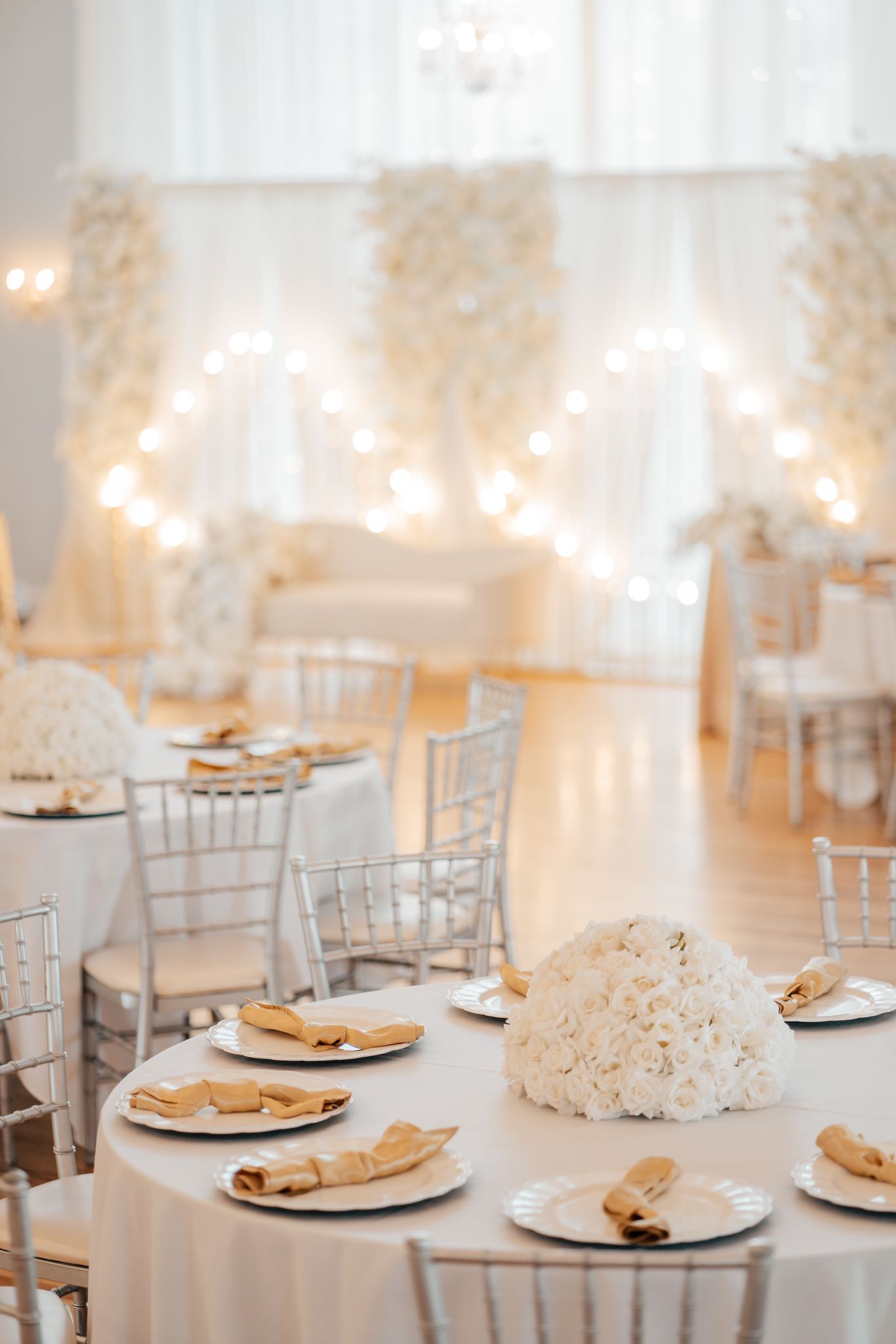 WhatsApp Image 2024-08-11 at 7.51.20 AM (1)